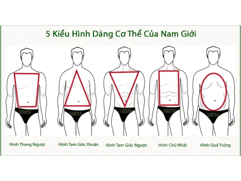 5 dáng người nam cơ bản