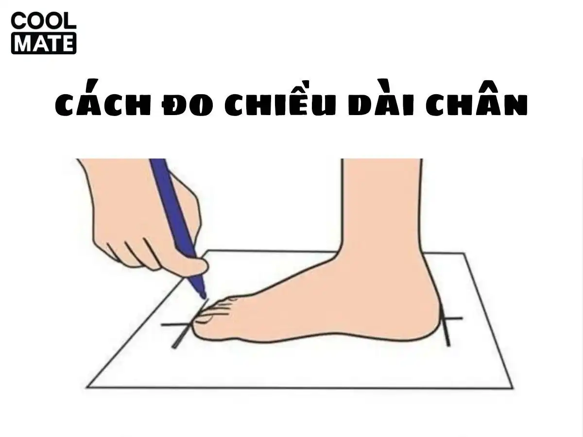 Bước 2: Hiểu Rõ Nhu Cầu Của Bạn Bước 2: Hiểu Rõ Nhu Cầu Của Bạn