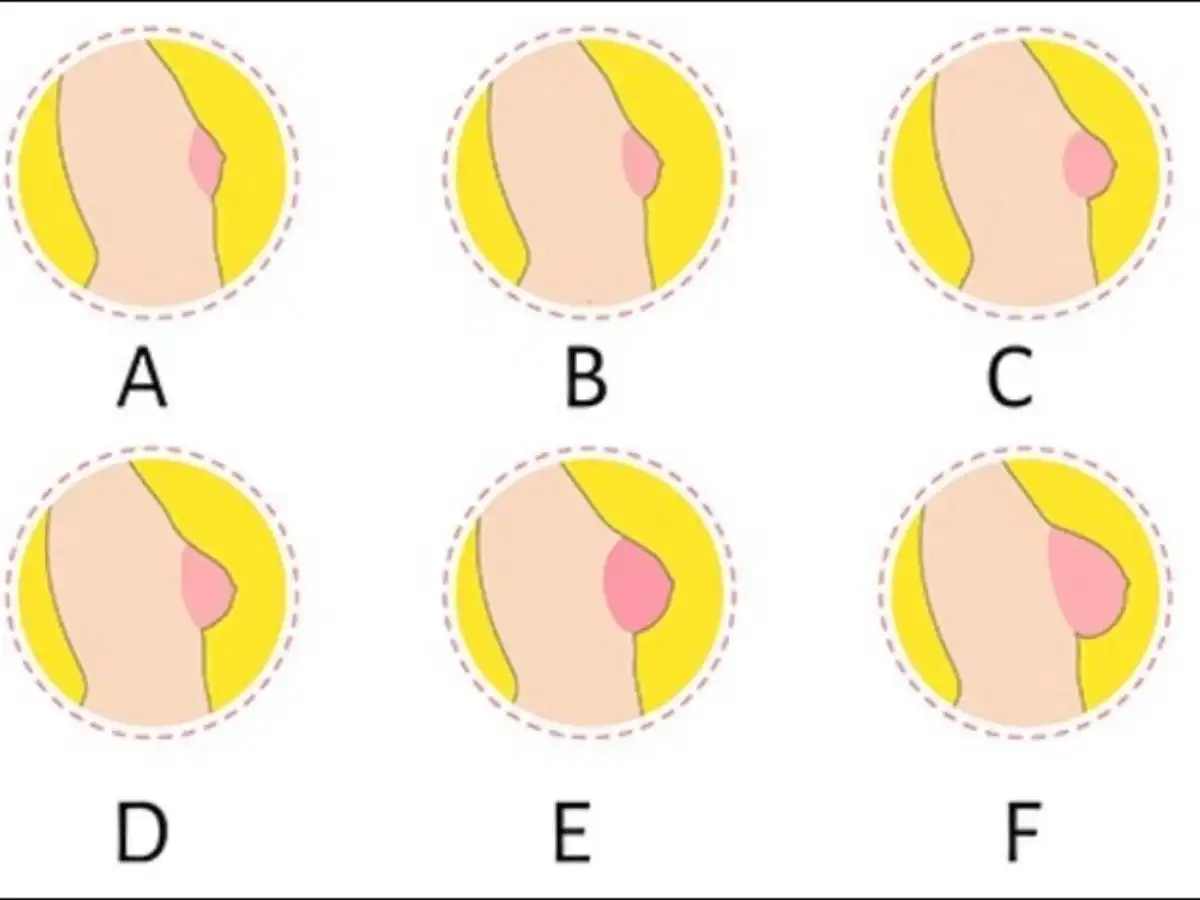 Cách tính cúp ngực dựa trên số đo cơ thể Cách tính cúp ngực dựa trên số đo cơ thể