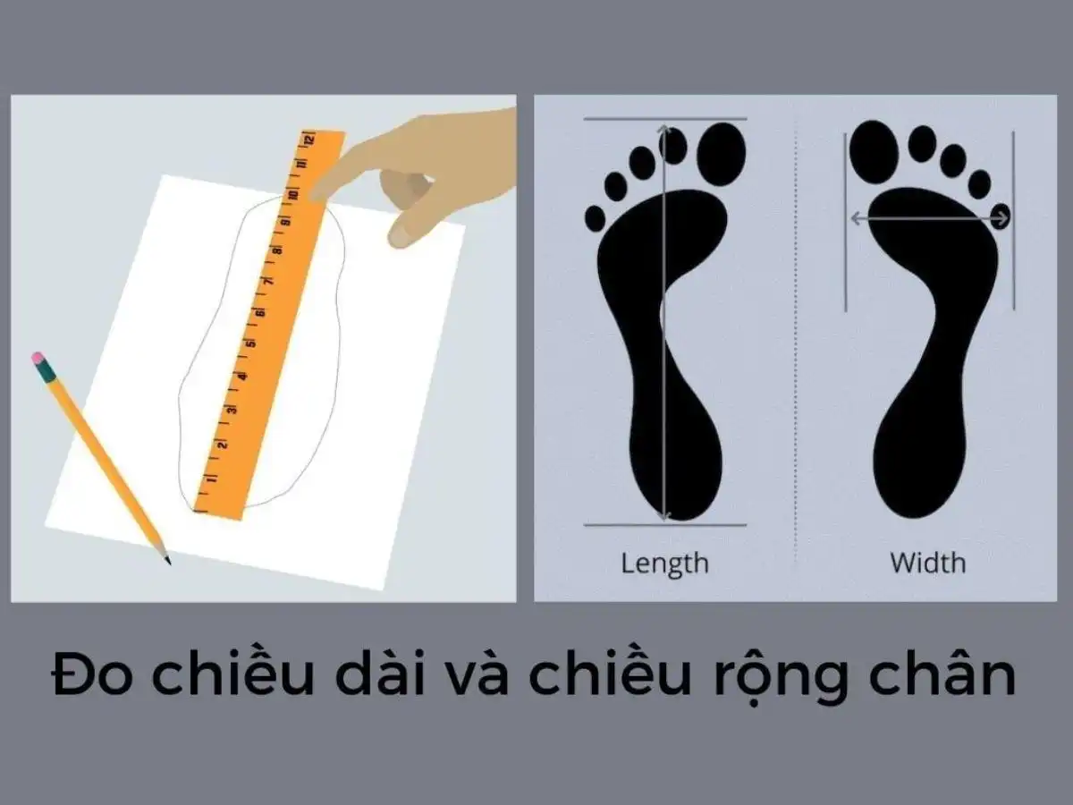 Cần chuẩn bị đầy đủ dụng cụ để tiến hành đo Cần chuẩn bị đầy đủ dụng cụ để tiến hành đo