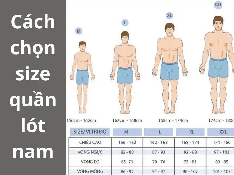 Chọn kích cỡ của quần lót nam