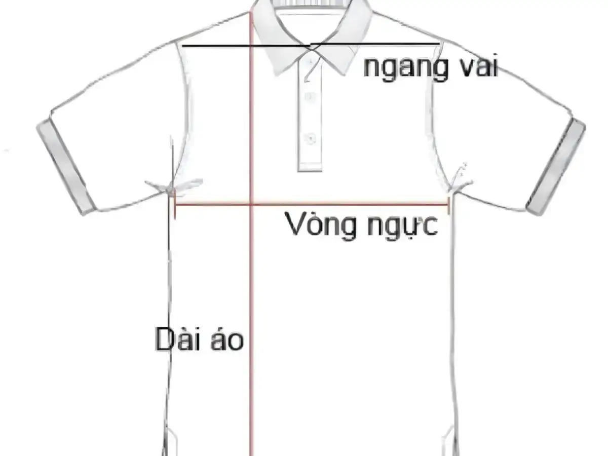Chọn size dựa trên áo thun bạn đang mặc vừa ý Chọn size dựa trên áo thun bạn đang mặc vừa ý