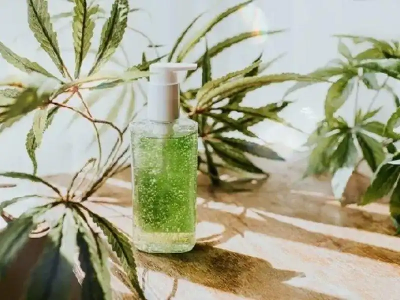 Dầu gội Organic là gì? Dầu gội Organic là gì?
