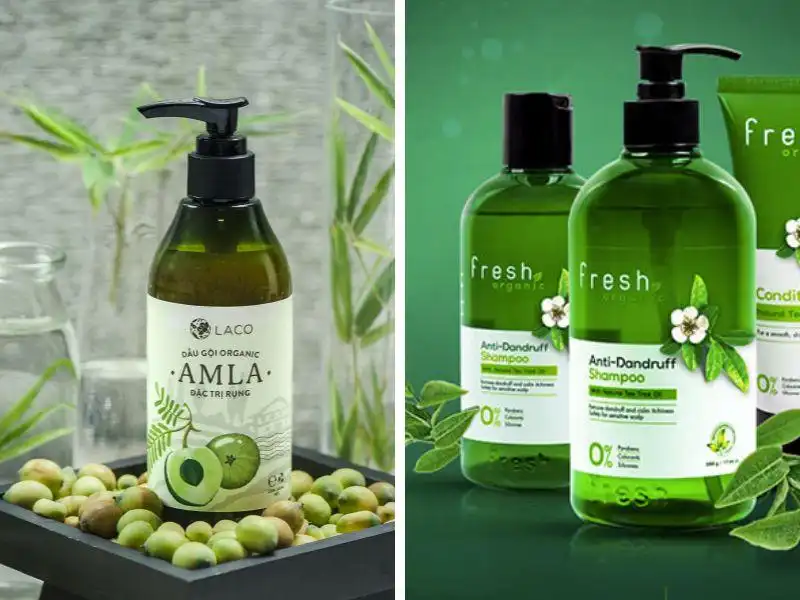 Dầu gội Organic là gì? Top 10 dầu gội Organic được ưa chuộng Dầu gội Organic là gì? Top 10 dầu gội Organic được ưa chuộng