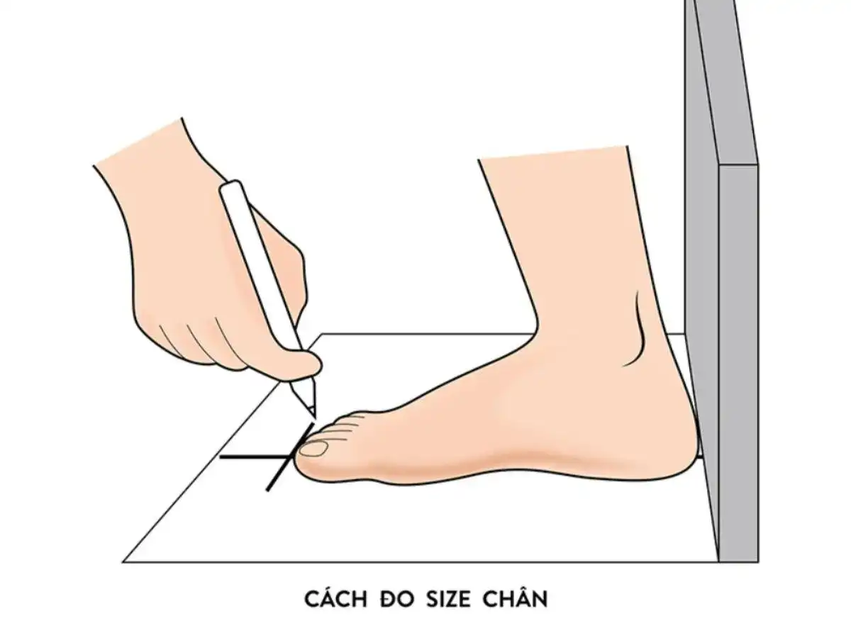 Để chọn được đôi giày vừa vặn và thoải mái, việc đo chính xác chiều dài bàn chân là điều hết sức cần thiết Để chọn được đôi giày vừa vặn và thoải mái, việc đo chính xác chiều dài bàn chân là điều hết sức cần thiết