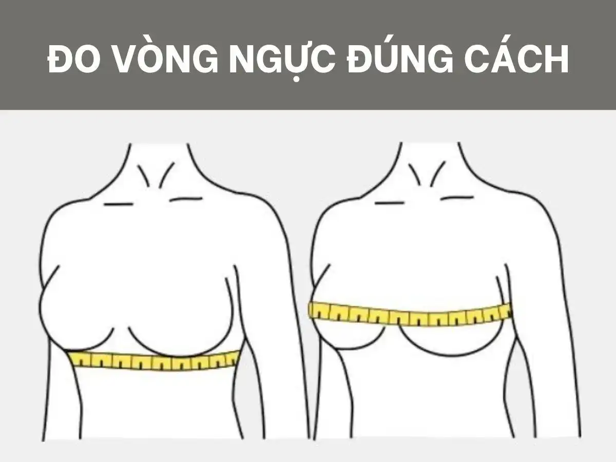 Đo size áo ngực đúng chuẩn là cực kỳ quan trọng để đảm bảo sự thoải mái Đo size áo ngực đúng chuẩn là cực kỳ quan trọng để đảm bảo sự thoải mái