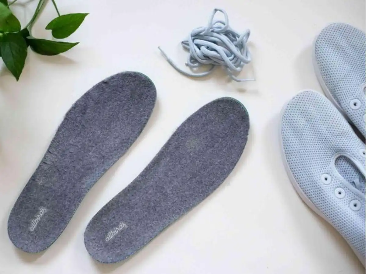 Hạn Sử Dụng Của Lót Giày Hạn Sử Dụng Của Lót Giày