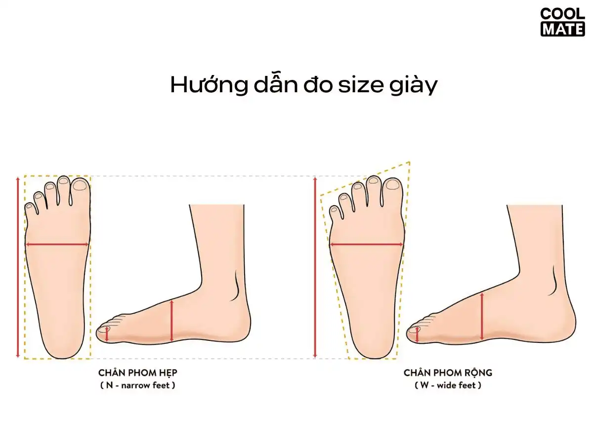 Hướng dẫn đo chân để chọn size giày