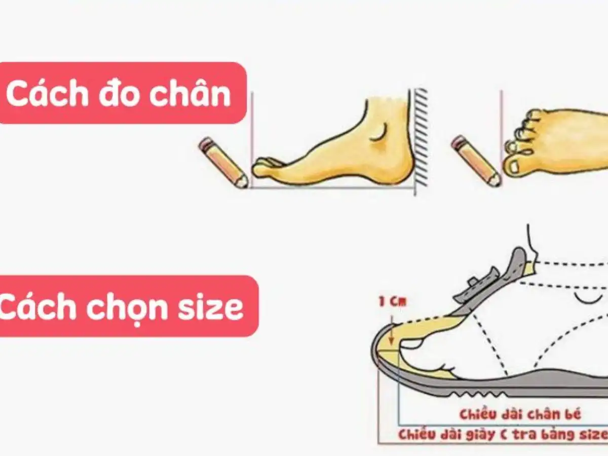 Hướng dẫn đo size chân và minh họa khoảng trống 1cm ở mũi giày Hướng dẫn đo size chân và minh họa khoảng trống 1cm ở mũi giày