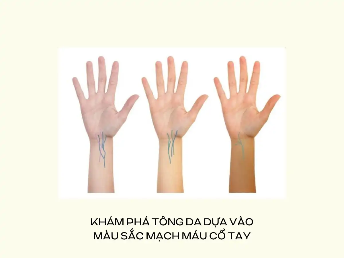Khám phá tông da dựa vào màu sắc mạch máu cổ tay