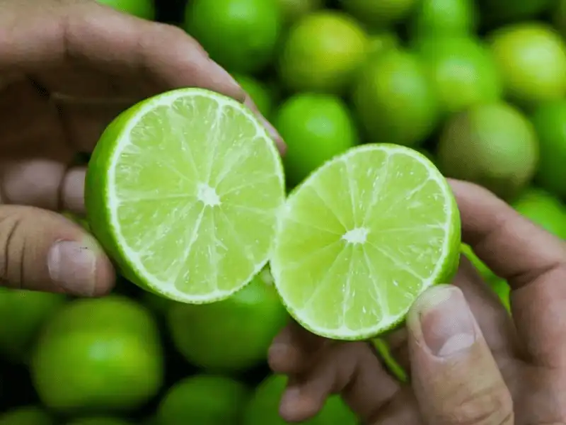 Khử mùi hôi giày thể thao bằng chanh
