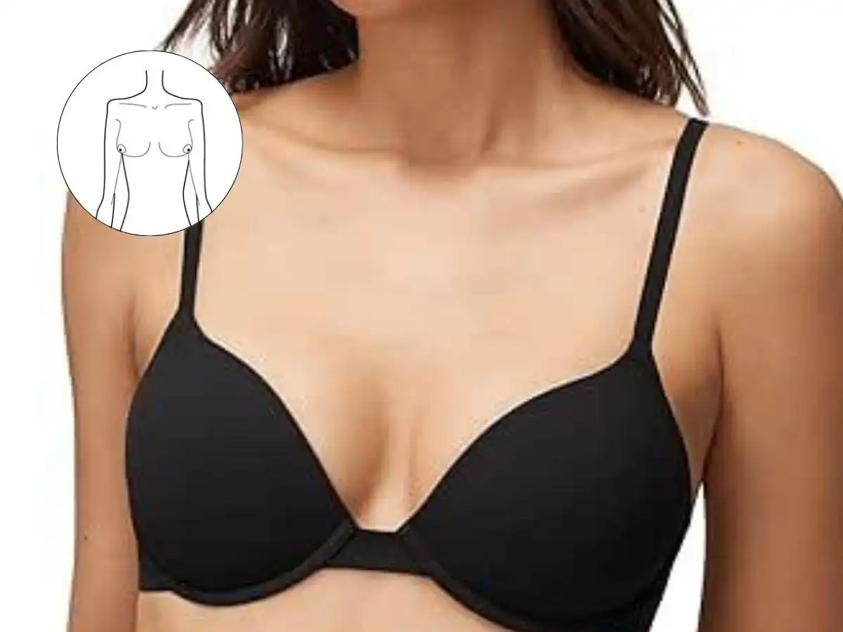 Ngực Đông Tây có hai bầu ngực hướng nhẹ ra hai bên Ngực Đông Tây có hai bầu ngực hướng nhẹ ra hai bên