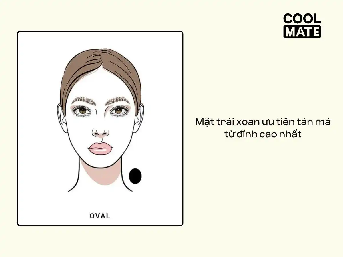Người có gương mặt trái xoan ưu tiên tán má hồng từ đỉnh cao nhất của gò má Người có gương mặt trái xoan ưu tiên tán má hồng từ đỉnh cao nhất của gò má