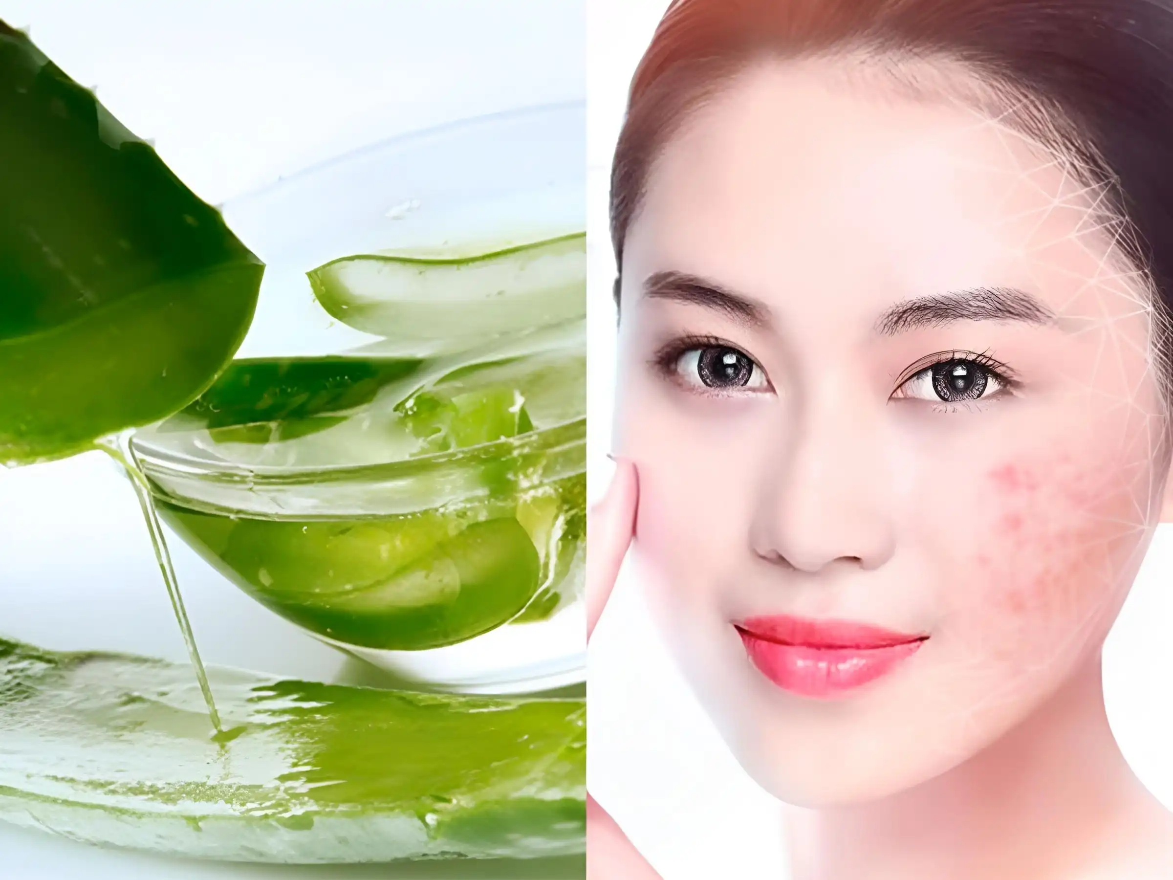Nha đam là siêu sao trong việc làm dịu da gần như tức thì Nha đam là siêu sao trong việc làm dịu da gần như tức thì