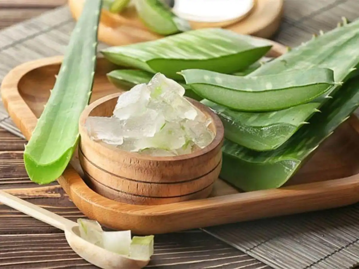 Sử Dụng Nha Đam Để Dưỡng Da Chân Mềm Mịn Sử Dụng Nha Đam Để Dưỡng Da Chân Mềm Mịn