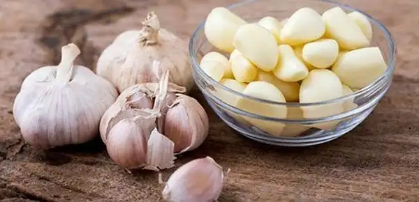 Tỏi gây hôi miệng Tỏi gây hôi miệng