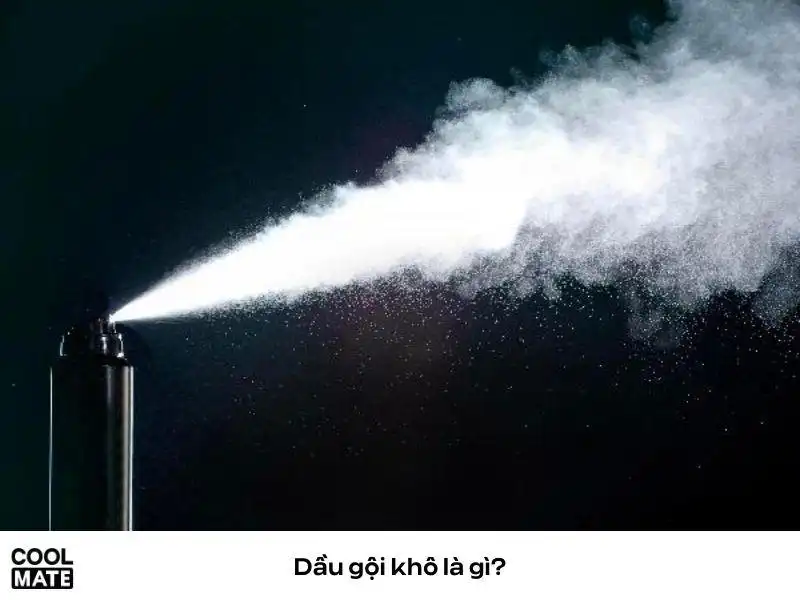 Top 5 thương hiệu dầu gội khô nam tốt nhất hiện nay