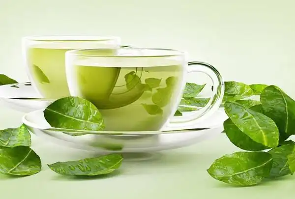 Trà xanh giúp giảm hôi miệng Trà xanh giúp giảm hôi miệng