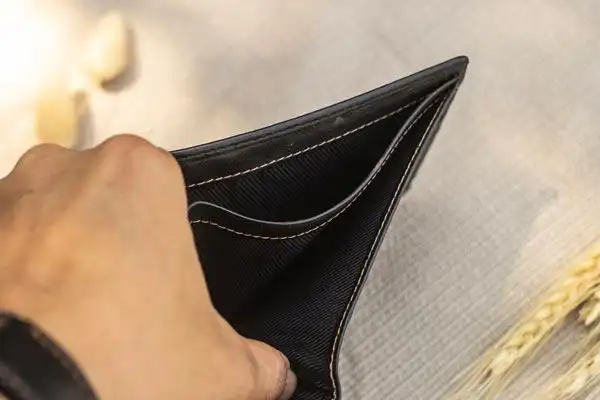ví da nam
