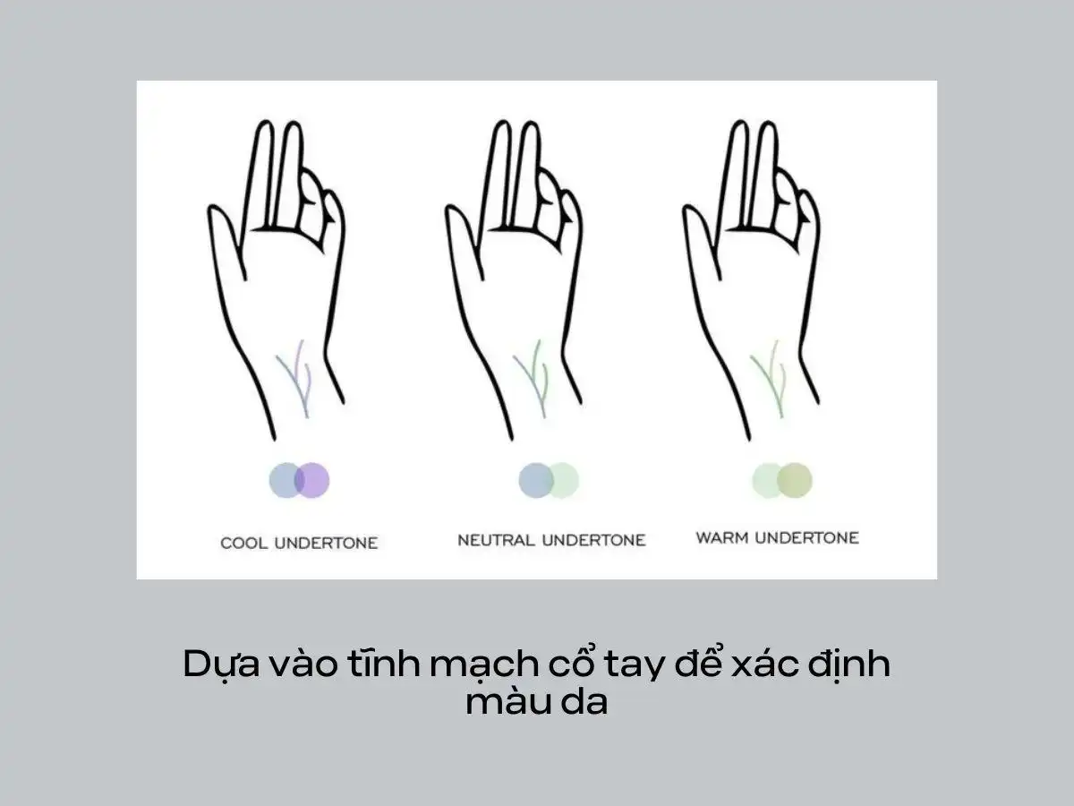 Xem màu tĩnh mạch để xác định da
